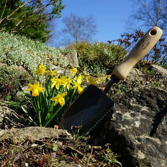 DEWIT Serrated Hand Trowel - Ash Handle 140mm