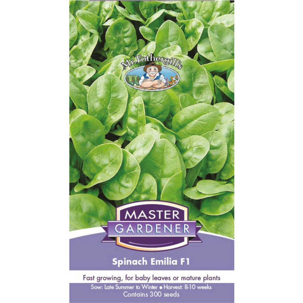 MASTER GARDENER Seeds - Spinach Emilia F1
