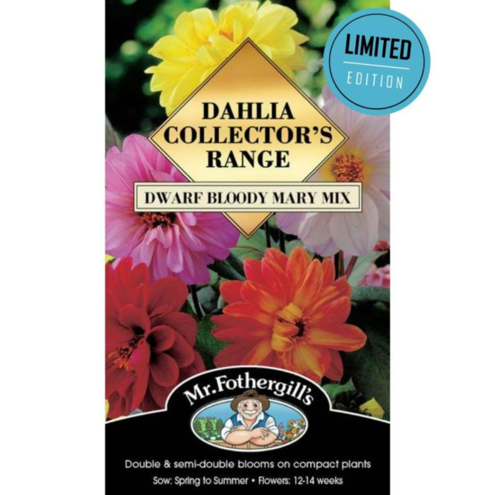 MR FOTHERGILLS Seeds Dahlia - Dwarf Bloody Mary Mix