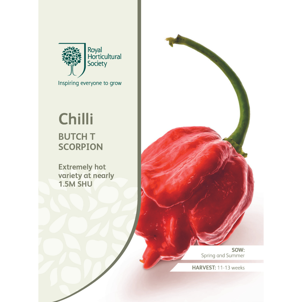 ROYAL HORTICULTURAL SOCIETY Seeds - Butch T Scorpion