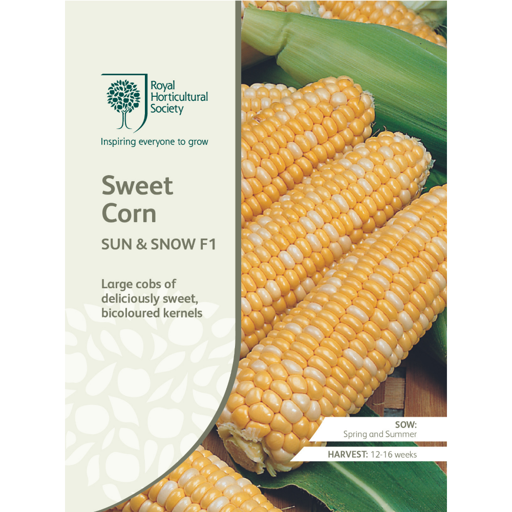 ROYAL HORTICULTURAL SOCIETY Seeds - Sweet Corn Sun & Snow F1