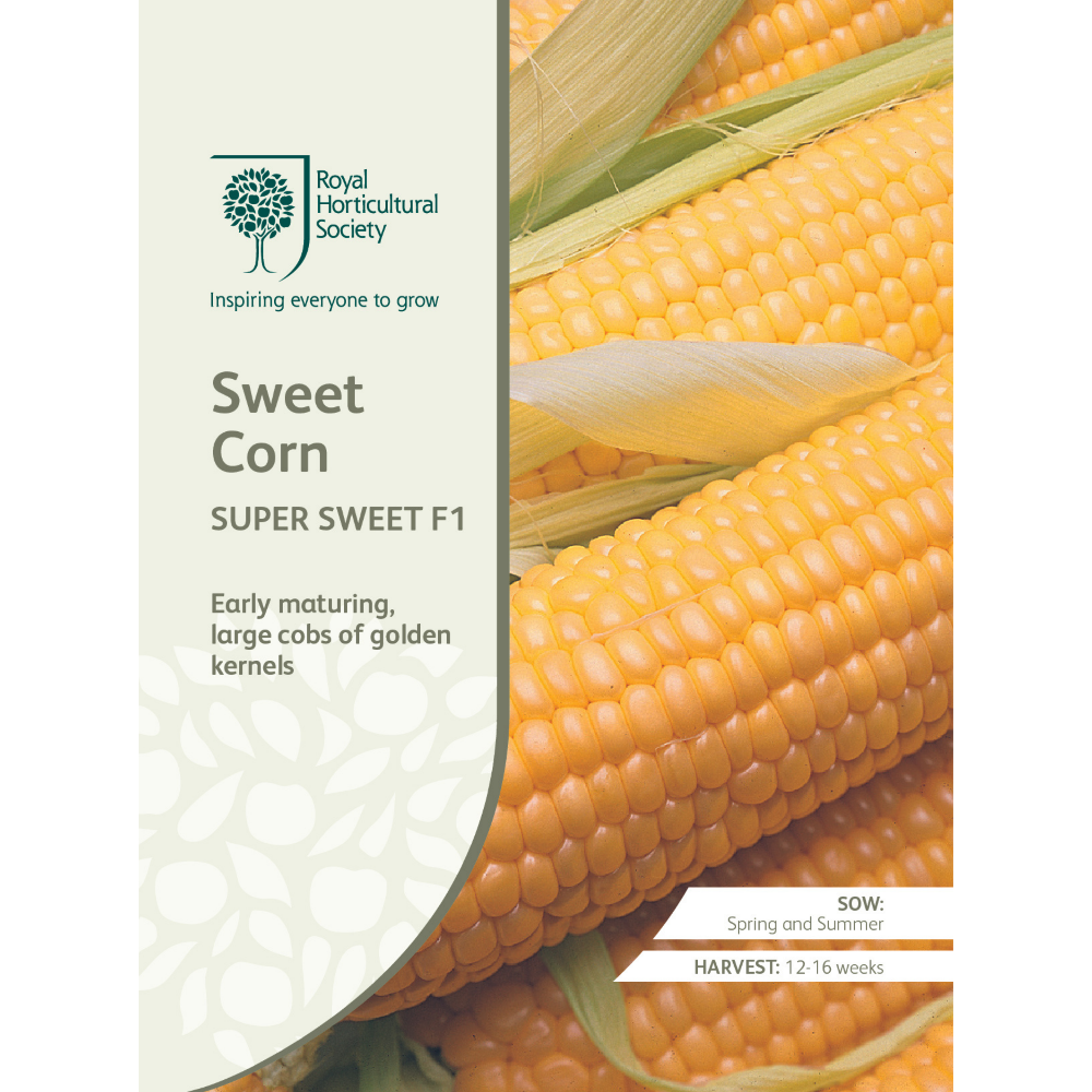 ROYAL HORTICULTURAL SOCIETY Seeds - Sweet Corn Super Sweet F1