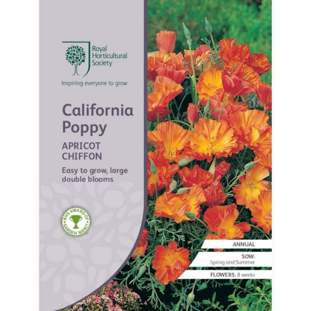 ROYAL HORTICULTURAL SOCIETY Seeds - California Poppy Apricot Chiffon