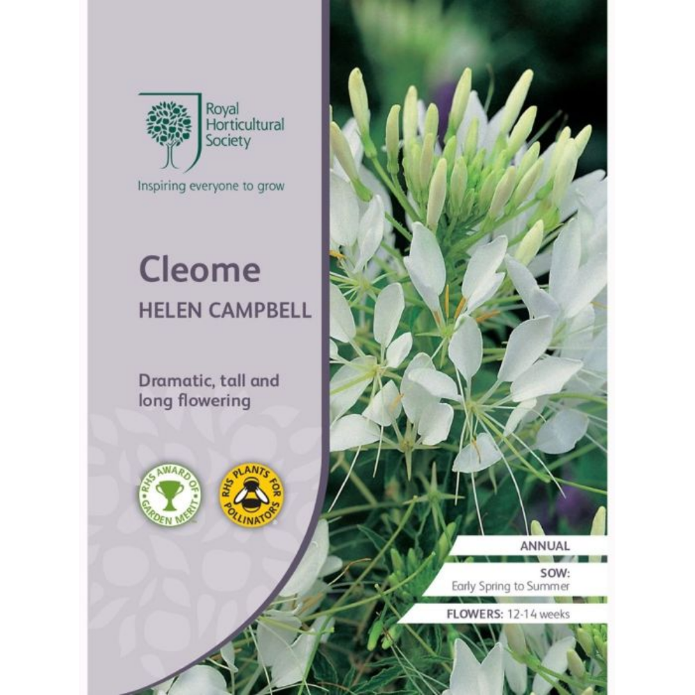 ROYAL HORTICULTURAL SOCIETY Seeds - Cleome Helen Campbell
