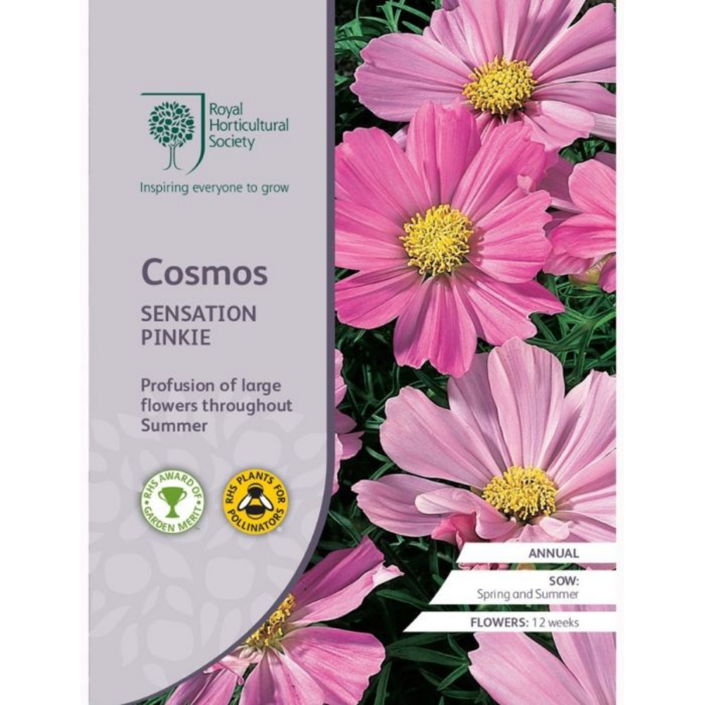 ROYAL HORTICULTURAL SOCIETY Seeds - Cosmos Sensation Pinkie