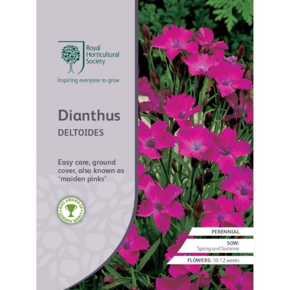 ROYAL HORTICULTURAL SOCIETY Seeds - Dianthus Deltoides