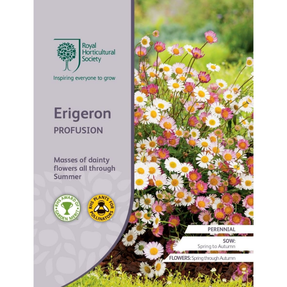 ROYAL HORTICULTURAL SOCIETY Seeds - Erigeron Profusion