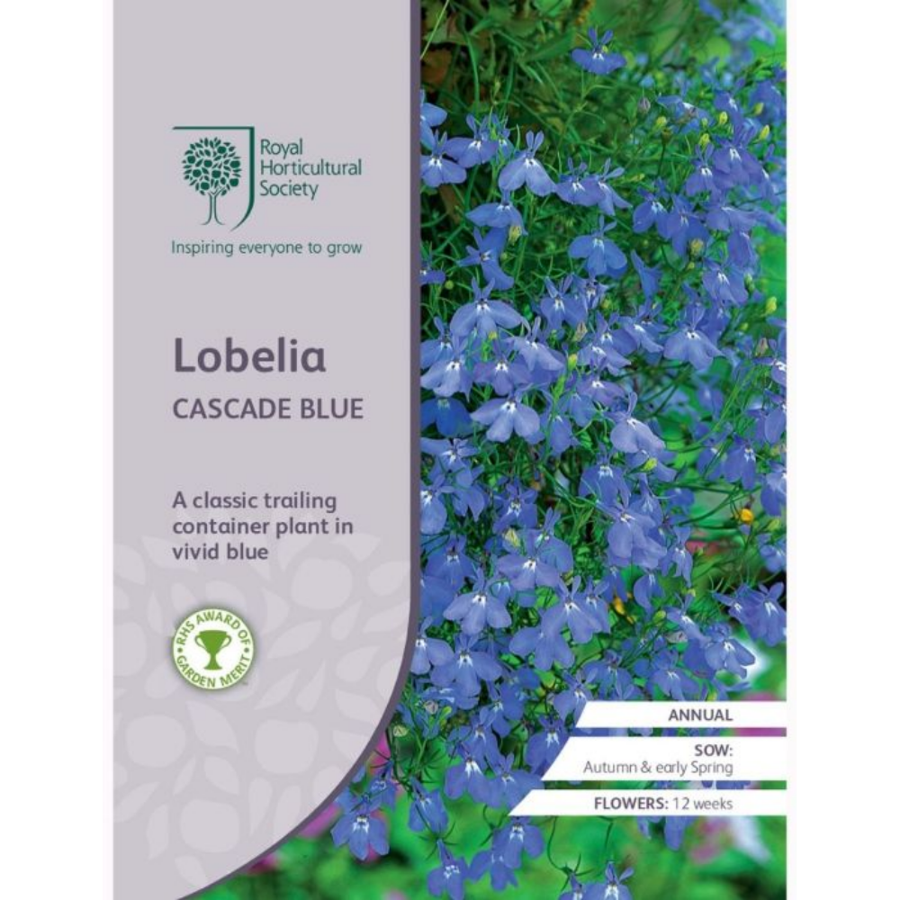 ROYAL HORTICULTURAL SOCIETY Seeds - Lobelia Cascade Blue