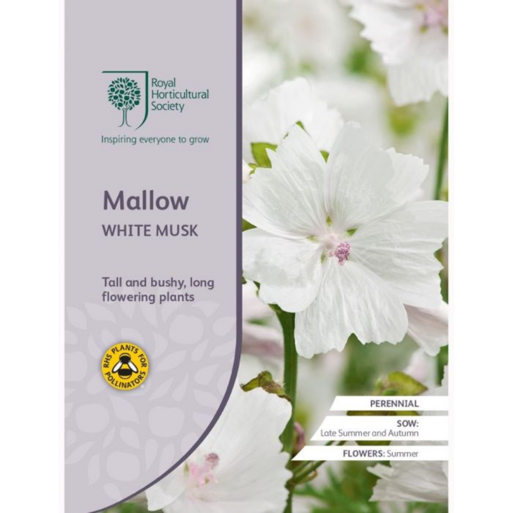 ROYAL HORTICULTURAL SOCIETY Seeds - Mallow White Musk