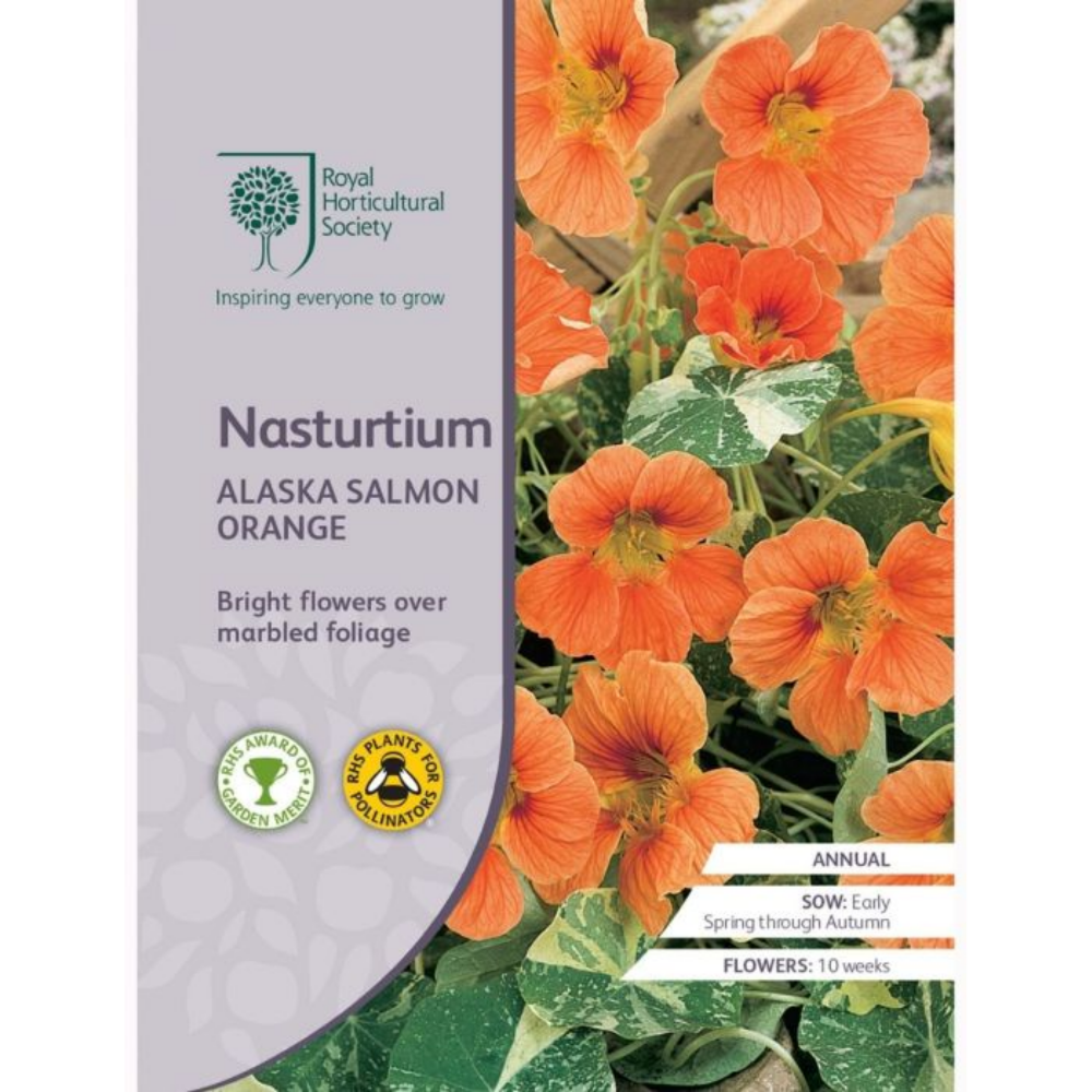 ROYAL HORTICULTURAL SOCIETY Seeds - Nasturtium Alaska Salmon Orange