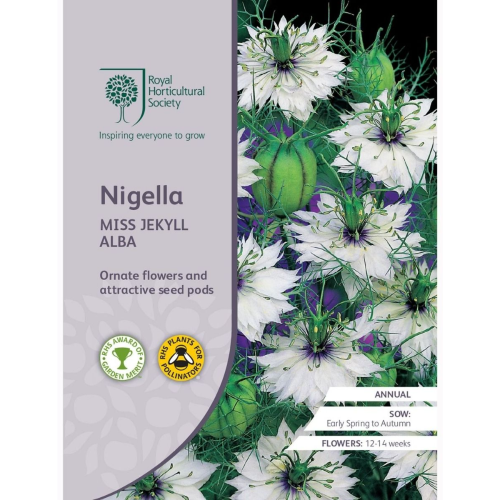 ROYAL HORTICULTURAL SOCIETY Seeds - Nigella Miss Jekyll Alba