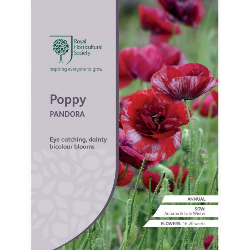 ROYAL HORTICULTURAL SOCIETY Seeds - Poppy Pandora