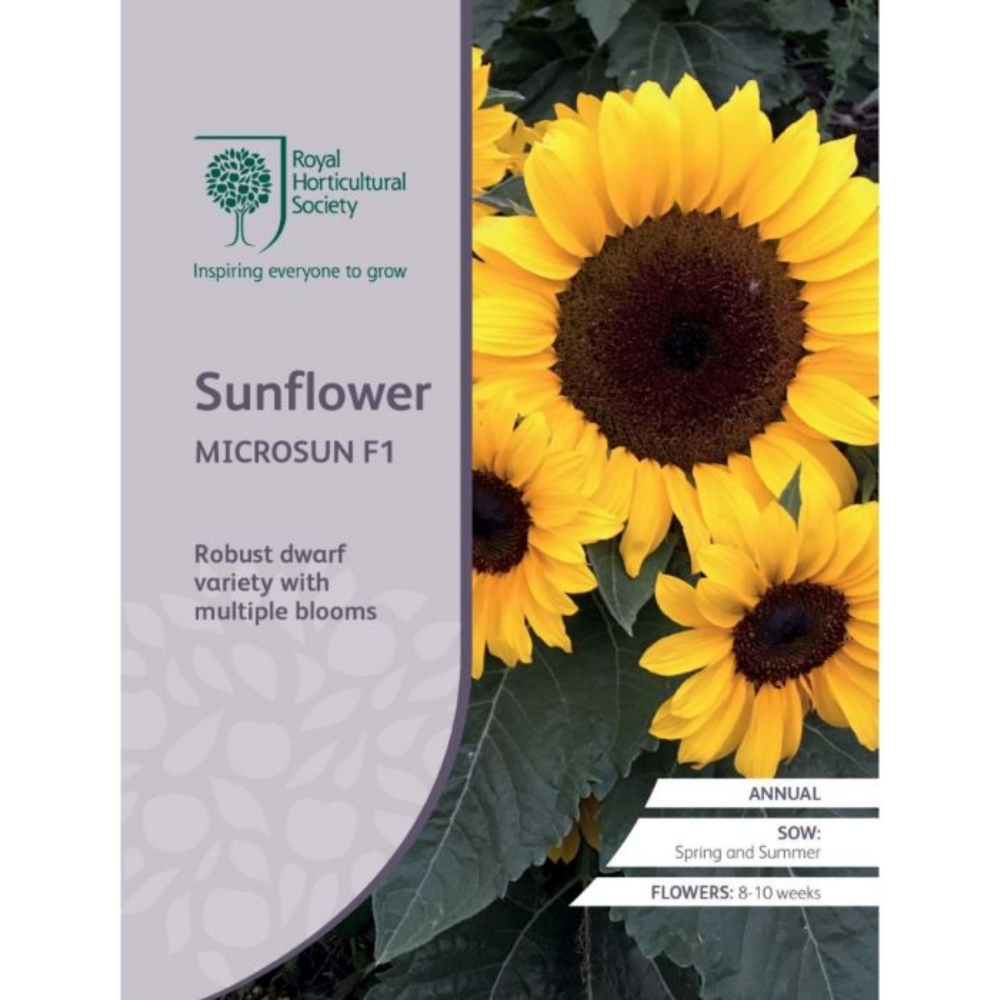ROYAL HORTICULTURAL SOCIETY Seeds - Sunflower Microsun F1