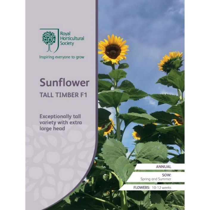 ROYAL HORTICULTURAL SOCIETY Seeds - Sunflower Tall Timber F1