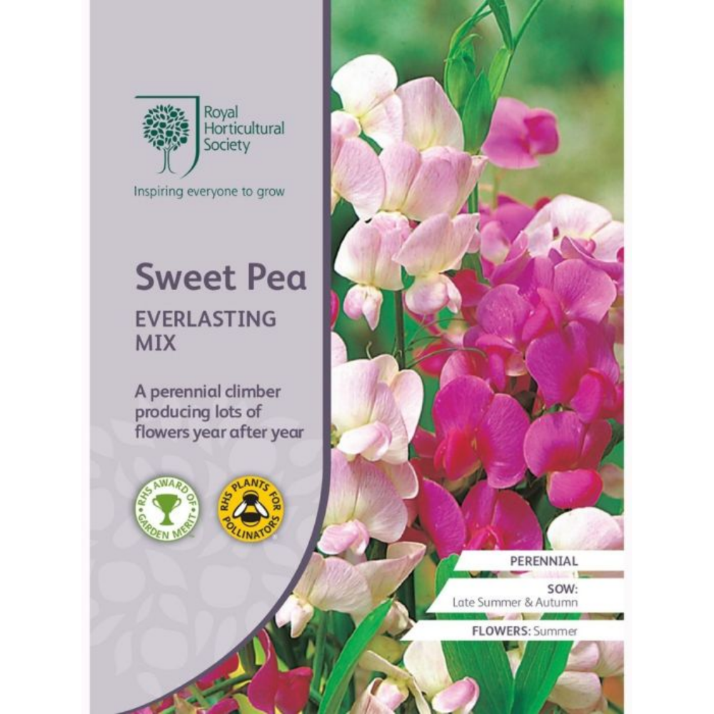 ROYAL HORTICULTURAL SOCIETY Seeds - Sweet Pea Everlasting Mix