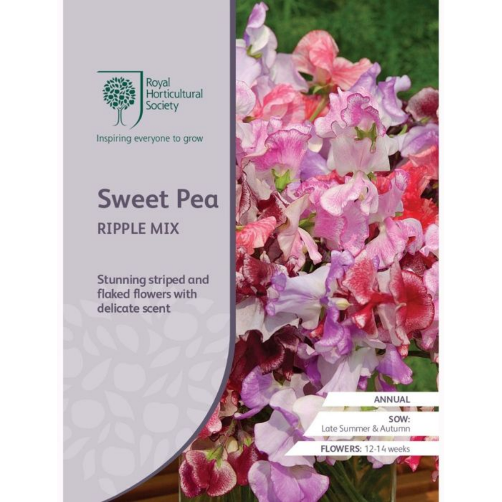 ROYAL HORTICULTURAL SOCIETY Seeds - Sweet Pea Ripple Mix