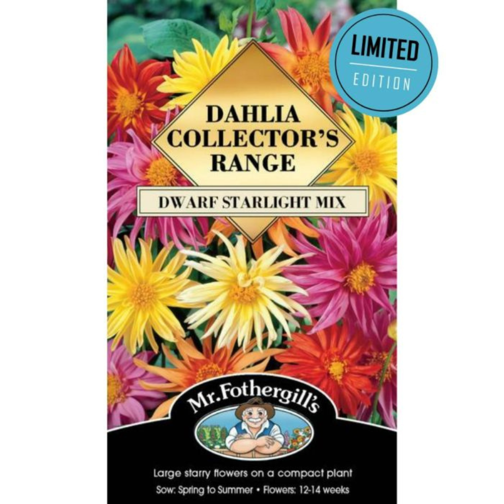 MR FOTHERGILLS Seeds Dahlia - Starlight Mix