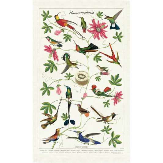 CAVALLINI & Co. 100% Natural Cotton Tea Towel - Hummingbird