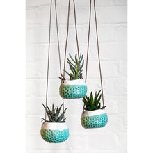 Load image into Gallery viewer, BURGON &amp; BALL Hanging Plant Pot - &#39;Baby Dotty&#39;