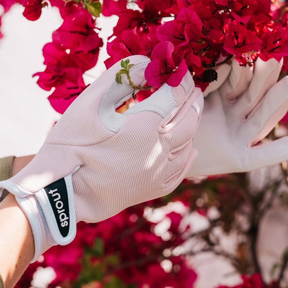 Load image into Gallery viewer, ANNABEL TRENDS 2ND Skin Large Gloves - Crystal Pink