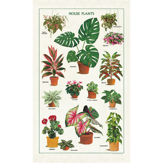 CAVALLINI & Co. 100% Natural Cotton Tea Towel - Houseplants