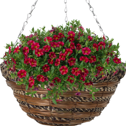 Load image into Gallery viewer, GARDMAN  Sisal &amp; Fern Basket 35cm