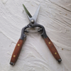 MARTHA'S VINEYARD Flower Snips