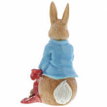 Load image into Gallery viewer, PETER RABBIT Beatrix Potter Large Figurines - Peter Rabbit and the Pocket Handkerchief (Limited Edition)