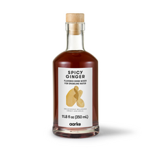 Load image into Gallery viewer, AARKE Drink Mixer - Spicy Ginger (350ml)