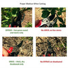 CORONA ComfortGEL Anvil Pruner Secateurs - 3/4inch capacity