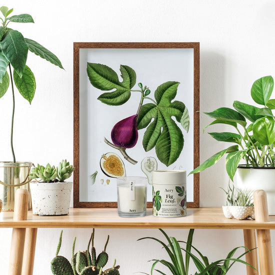 AERY LIVING Botanical 200g Soy Candle - Fig Leaf