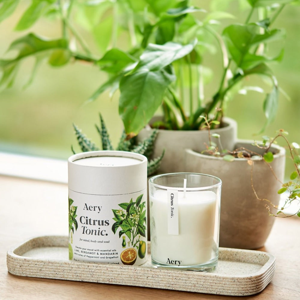 Load image into Gallery viewer, AERY LIVING Botanical 200g Soy Candle - Citrus Tonic