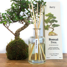 Load image into Gallery viewer, AERY LIVING Botanical 200ml Reed Diffuser - Bonsai Tree