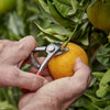 CORONA Citrus Shear - Bypass