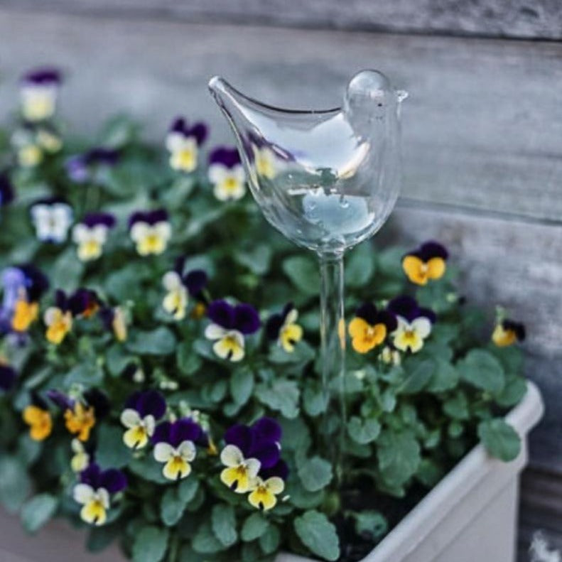 Load image into Gallery viewer, ANNABEL TRENDS Plant Water Bubble - Bird