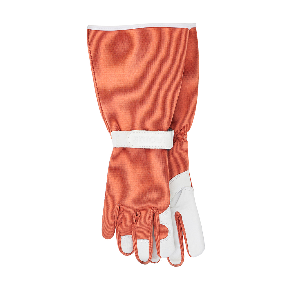 ANNABEL TRENDS Sprout Ladies' Long Sleeve Gloves - Terracotta