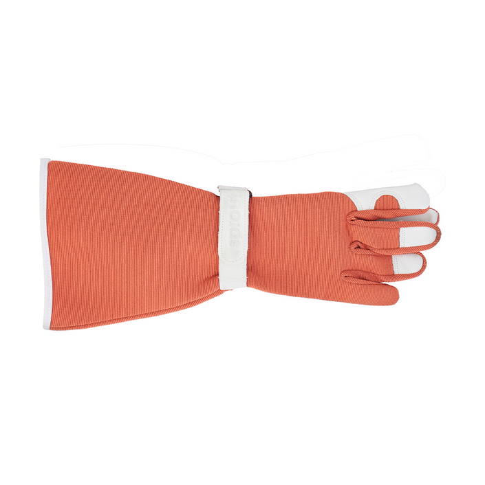 ANNABEL TRENDS Sprout Ladies' Long Sleeve Gloves - Terracotta