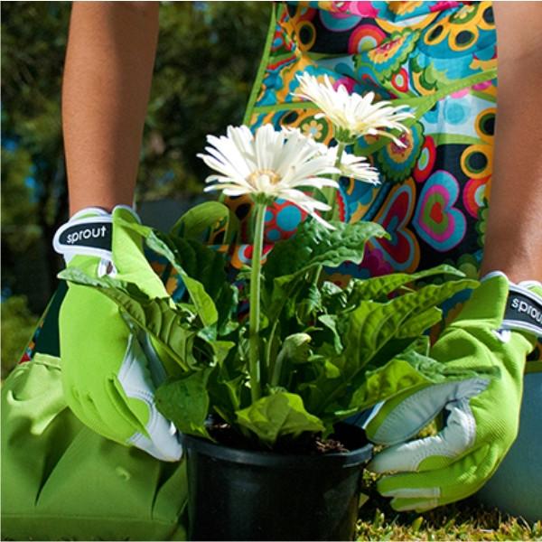 Ladies Goatskin and Lycra Gloves- Sprout brand - Olive Green