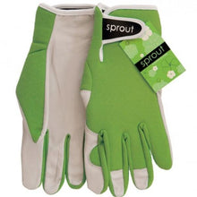 Load image into Gallery viewer, Ladies Goatskin and Lycra Gloves- Sprout brand - Olive Green