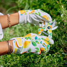 Load image into Gallery viewer, ANNABEL TRENDS Sprout Ladies&#39; Gloves - Amalfi Citrus