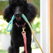 Load image into Gallery viewer, ANNABEL TRENDS Hot Dog Rope Lead - Rainbow