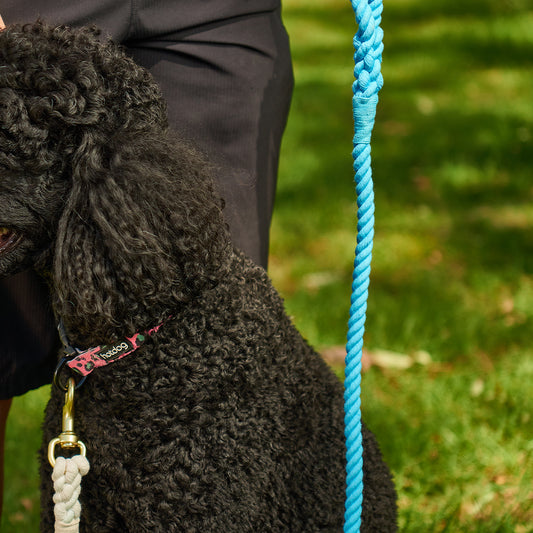 ANNABEL TRENDS Hot Dog Rope Lead - Blue Skies