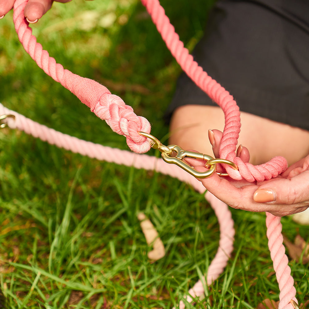 Load image into Gallery viewer, ANNABEL TRENDS Hot Dog Multipurpose Rope Lead - Rainbow