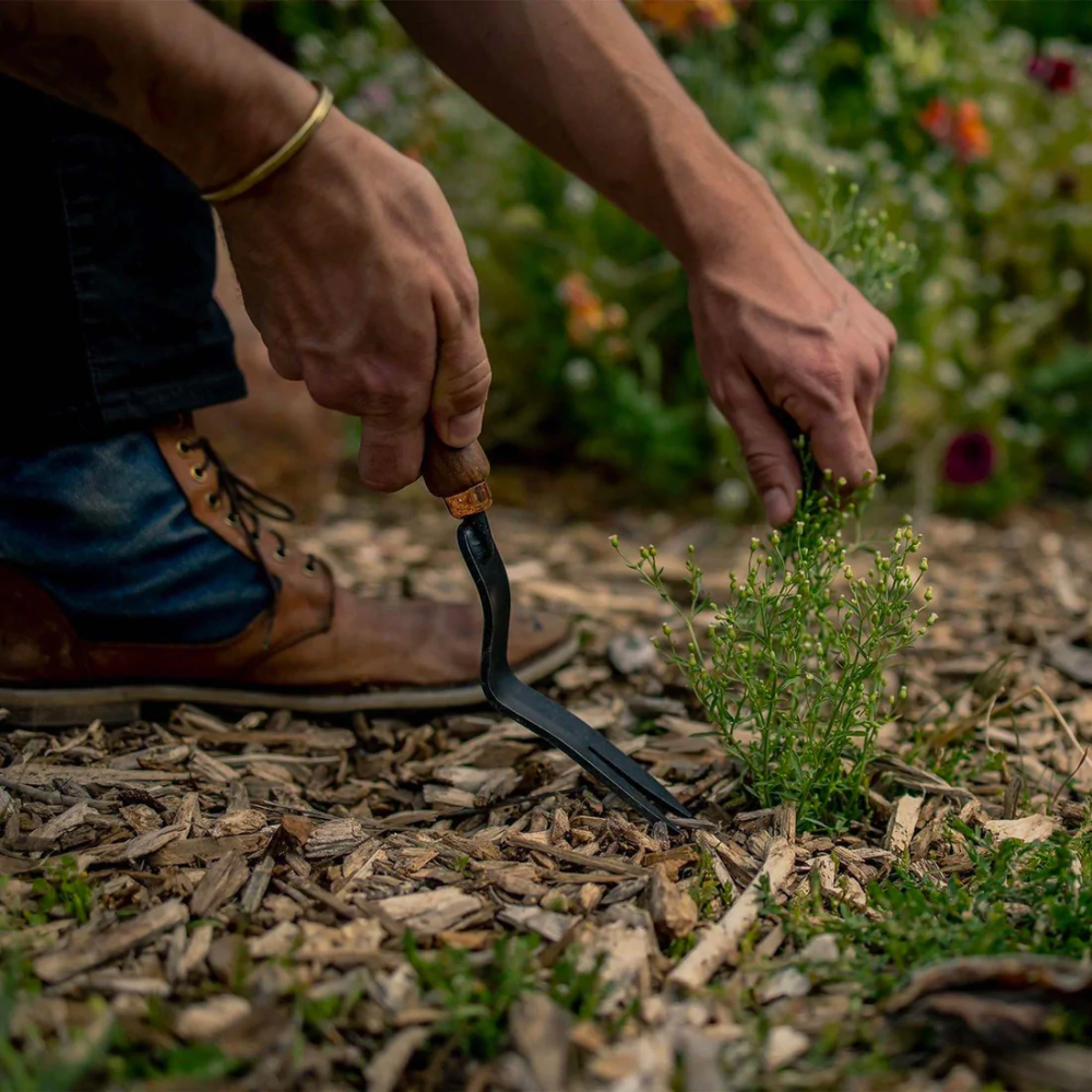 Load image into Gallery viewer, BAREBONES Dandelion Weeding Fork