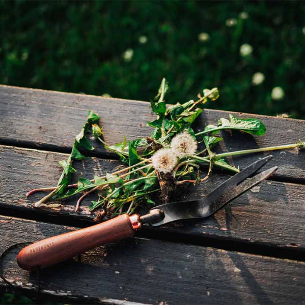 Load image into Gallery viewer, BAREBONES Dandelion Weeding Fork