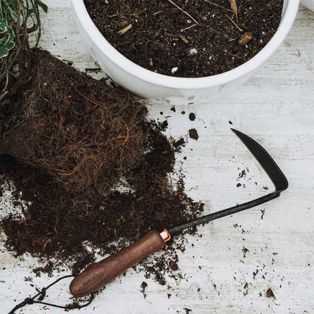 Load image into Gallery viewer, BAREBONES Japanese Weeding Hoe