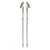 BLACK DIAMOND ALPINE CARBON CORK Trekking Poles, Tundra 2019 - Pair