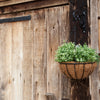 ESSCHERT DESIGN Premium Hanging Basket Large 12"