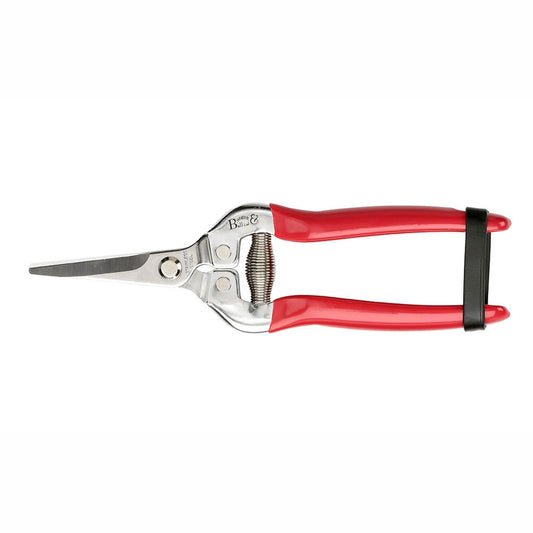 BURGON & BALL Garden Snips & Holster - RHS Gift Collection