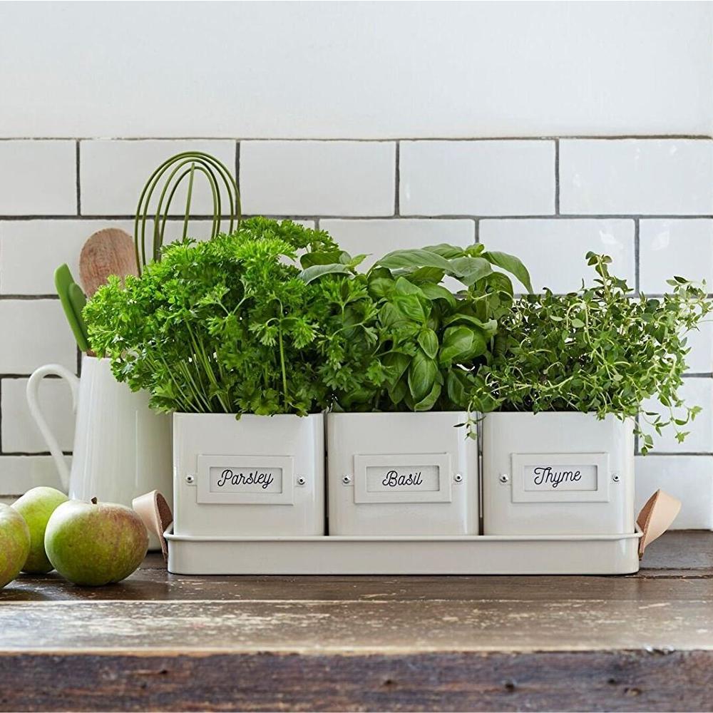 Load image into Gallery viewer, BURGON &amp; BALL Herb Pots with Leather Handled Tray - Stone